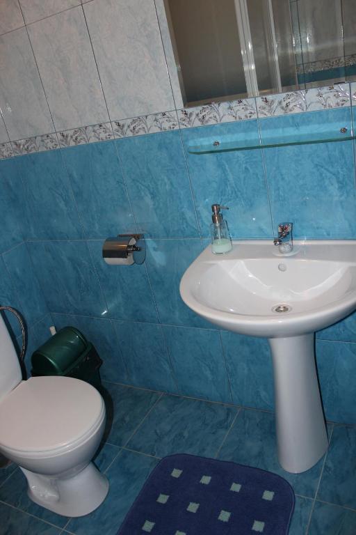 Nika Hotel Miyory Cameră foto